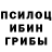 Галлюциногенные грибы прущие грибы Konfetka Barbaristka