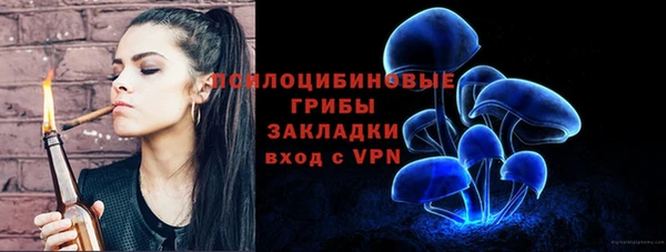 дживик Бронницы