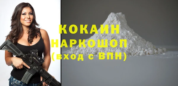 дживик Бронницы