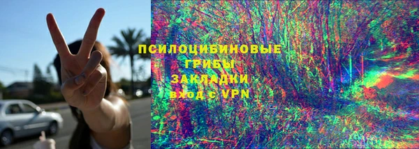 дживик Бронницы