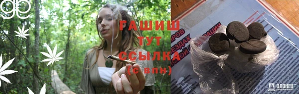 дживик Бронницы