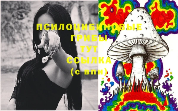 первитин Бугульма