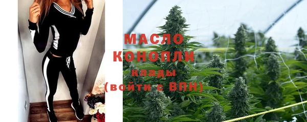 дживик Бронницы